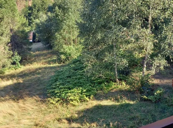 Monteurwohnung Aroba شقة Fehrenbach