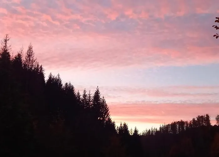 شقة Monteurwohnung Aroba Fehrenbach