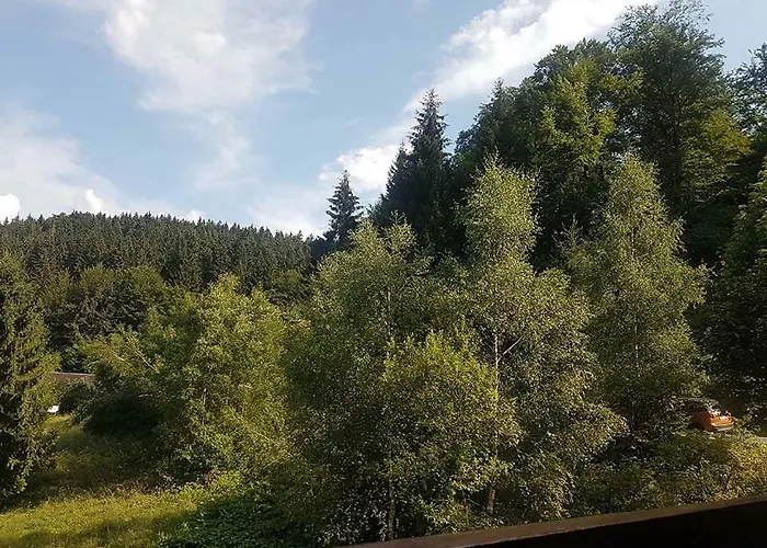 Monteurwohnung Aroba شقة Fehrenbach