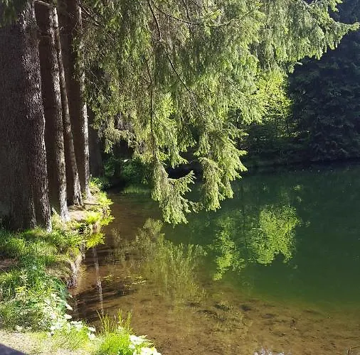 Monteurwohnung Aroba *